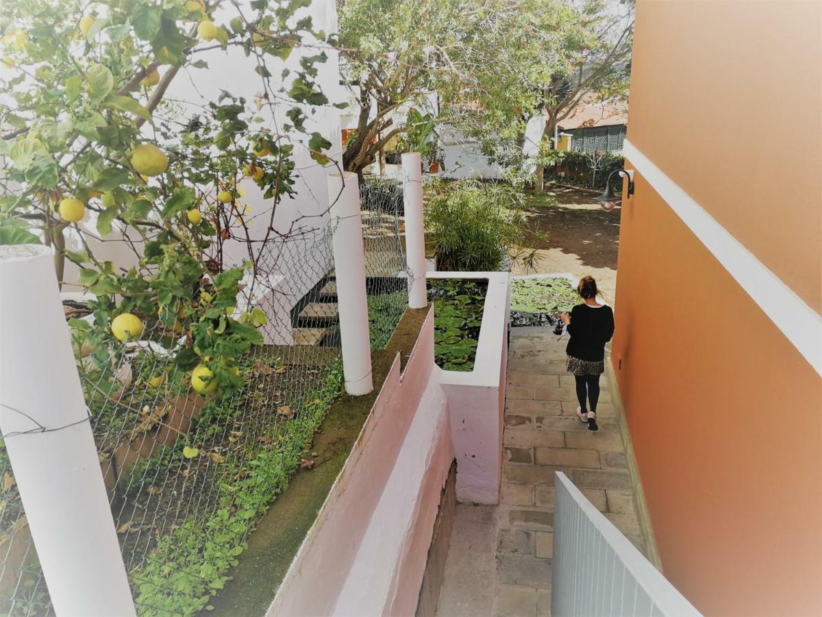 Apartamento Lemmon Tree Santa Brígida Kültér fotó